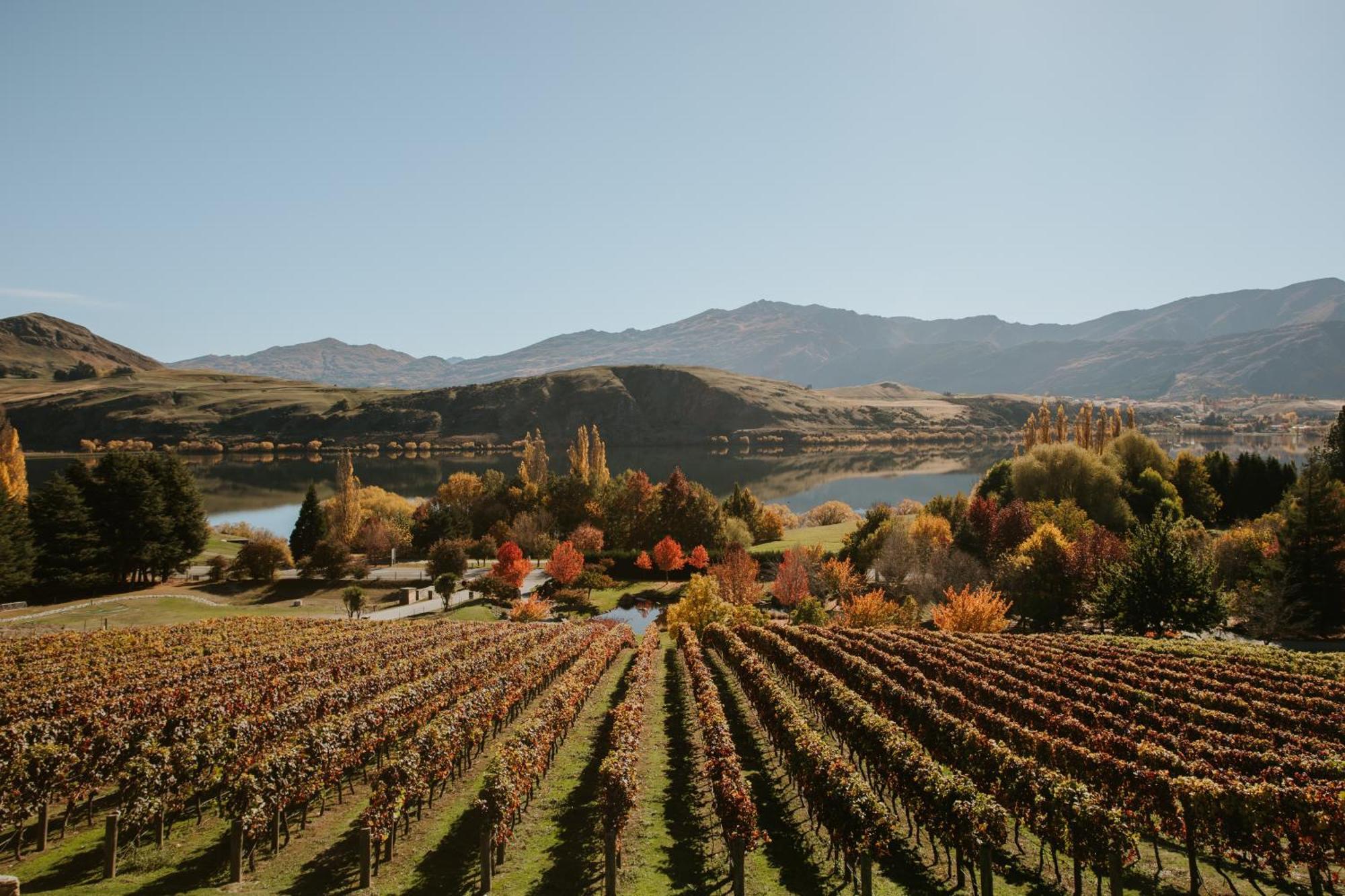 Stoneridge Estate Hotel Queenstown Bagian luar foto